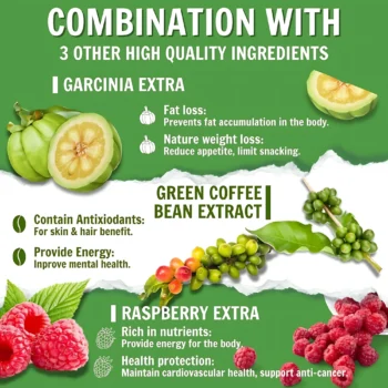 Dr. Pinoca Green Tea Nature Lean Gummies
